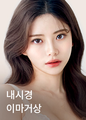 내시경 이마거상